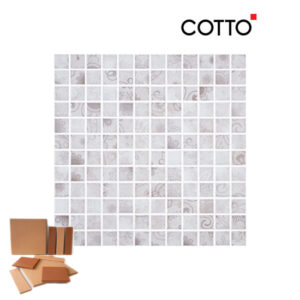 CT1SM LACEO GREY